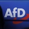 Kommt nun ein Parteiverbot?: Verfassungsschutz stuft gesamte AfD als gesichert rechtsextremistisch ein