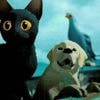 « Flow », récit d’une success-story pour un film d’animation à petit budget sans paroles
