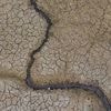 Natuurpunt waarschuwt dat droogte blijvende impact heeft, ook als het opnieuw gaat regenen