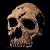 Suffer from headaches? Neanderthal DNA could be to blame, study suggests
