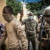 Schwere Verluste bei Kämpfen: Russische Wagner-Söldner wollen aus Mali abziehen
