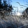Winterliche Verhältnisse: DWD warnt vor Frost – bis zu -9 Grad in Brandenburg