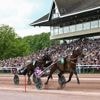 EN IMAGES. 10 000 personnes à l’hippodrome de Caen pour le Prix des Ducs de Normandie