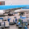 KLM hervat na elf maanden vluchten naar Israël: ‘Nu weer veilig’