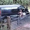 Moment 'shameless' pair are seen 'raiding honesty box for cash and duck eggs'