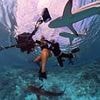 Terrifying moment sharks attack screaming divers during coral reef filming session