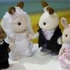 Toymaker drops lawsuit against Sylvanian Drama creator