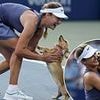 Hilarious moment tennis star Anna Kalinskaya's pet dog storms the court during DC Open
