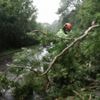 Storm Floris clear-up after power cuts and travel disruption