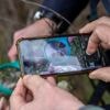 Onderzoeker Vlinderstichting met de dood bedreigd na onderzoek pesticiden: rapport offline gehaald