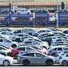 Tesla will fast keiner mehr: VW ist Platzhirsch auf deutschem E-Auto-Markt