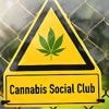 NRW führt bei Lizenzen: Fast 300 Social Clubs dürfen inzwischen Cannabis anbauen