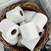 Comment faisaient nos ancêtres quand le papier toilette n’existait pas ?