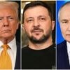 US-Präsident entscheidet: Darf Selenskyj am Trump-Putin-Gipfel teilnehmen?