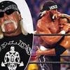 Hulk Hogan dead: The Rock pays emotional tribute following WWE legend's passing as Hollywood star recalls incredible first encounter with his hero aged just 12