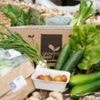 Vegetable boxes for low income households