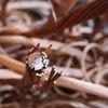 INFO OUEST-FRANCE. Orange dépasse les 10 millions de clients fibre optique en France