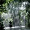 Wetter: Temperaturen bis 40 Grad - Ab Donnerstag dann Abkühlung