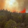 Incendies de forêt : l'été de tous les dangers en Europe
