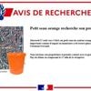Qui a perdu un "seau orange rempli d'argent" ? La gendarmerie du Puy-de-Dôme lance un avis de recherche insolite