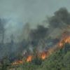 Incendie dans l'Aude : comment les flammes ont-elles pu ravager 11 000 hectares en quelques heures ?