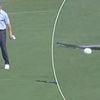 Golfer's terrified reaction as huge snake forces delay at PGA Championship