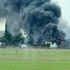 Zes waardevolle renpaarden overleden bij stalbrand in Evergem