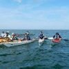 « On ne sait jamais, ils pourraient monter à bord » : ces kayakistes croisent phoques et dauphins