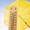 VRAI OU FAUX. Vague de chaleur : douche froide, climatisation, alimentation… Ces idées reçues pour se rafraîchir sont-elles réellement conseillées ?
