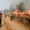 Hoogste alarmfase in Portugal: vrees voor nieuwe bosbranden door extreme hitte (44 graden)