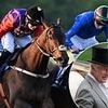 Willie Mullins hopes to put on a show fit for the King as Reaching High aims to emulate his father Estimate by providing a Royal winner at Ascot