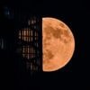 In pictures: Blood Moon captivates sky-gazers around the world