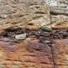 Fury at tourists damaging Northern Ireland's Giant's Causeway by forcing COINS into cracks causing columns to 'crumble' - as National Trust pleas for end to padlock-style trend