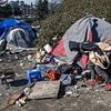 Terrified European family reveal Dem-run city they visited where they'd 'never felt so unsafe'