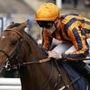 Robin Goodfellow's racing tips: Best bets for Wednesday, April 30