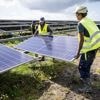 Compromis à la Belge: Belgische zonnepanelen kunnen blijven liggen bij Schiphol als ze worden afgeplakt met folie