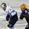 Eishockey: München siegt beim Vizemeister - Wolfsburg Spitzenreiter