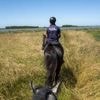 À cheval ou en fatbike : deux activités pour découvrir la côte fleurie sous un nouveau jour
