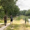 Verzet in Drenthe om zandpad te beschermen: ‘De charme van Drenthe, en daar storten ze beton op’