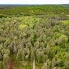 Gewaltverbrechen: Leiche im Wald - 16-Jähriger wegen Totschlags untergebracht