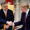 Nach Telefonat mit Putin: Trump rief auch Orban für Ukraine-Gespräch an