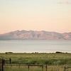 Democratic state plans to take farmland from white owners and redistribute to 'help rebuild stolen wealth'