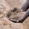 How Malawi is taking AI technology to small-scale farmers who don't have smartphones
