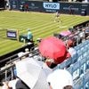 „Wenn jemand deinen Namen ruft, ist das großartig“: Die einzigartige Symbiose zwischen Spielerinnen und Fans beim Tennis