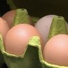 Supermarchés : des œufs non conformes dans les rayons ?