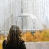 Weerbericht : Koeler weekend voor de boeg