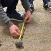 Pétanque. Horaires, chaîne TV… Où voir les demi-finales et la finale du Mondial La Marseillaise