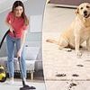 Expert issues urgent warning over one part of your house that may look clean - but is 'packed with bacteria'
