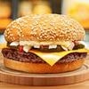 ZIA YUSEF: No money for potholes... but plenty for migrants' Big Macs