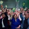 Kaum Gegenstimmen: Hamburger Grüne stimmen für Koalition mit SPD